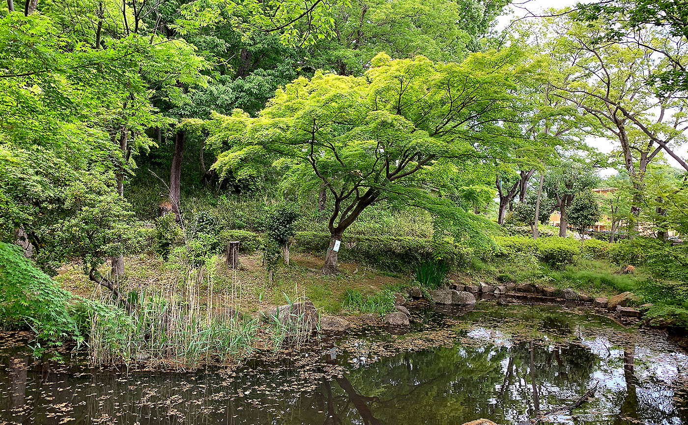 百草台自然公園