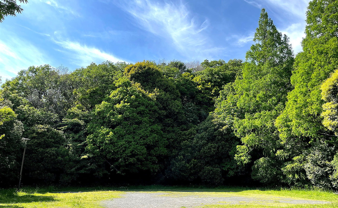 栗木台まみ沢公園