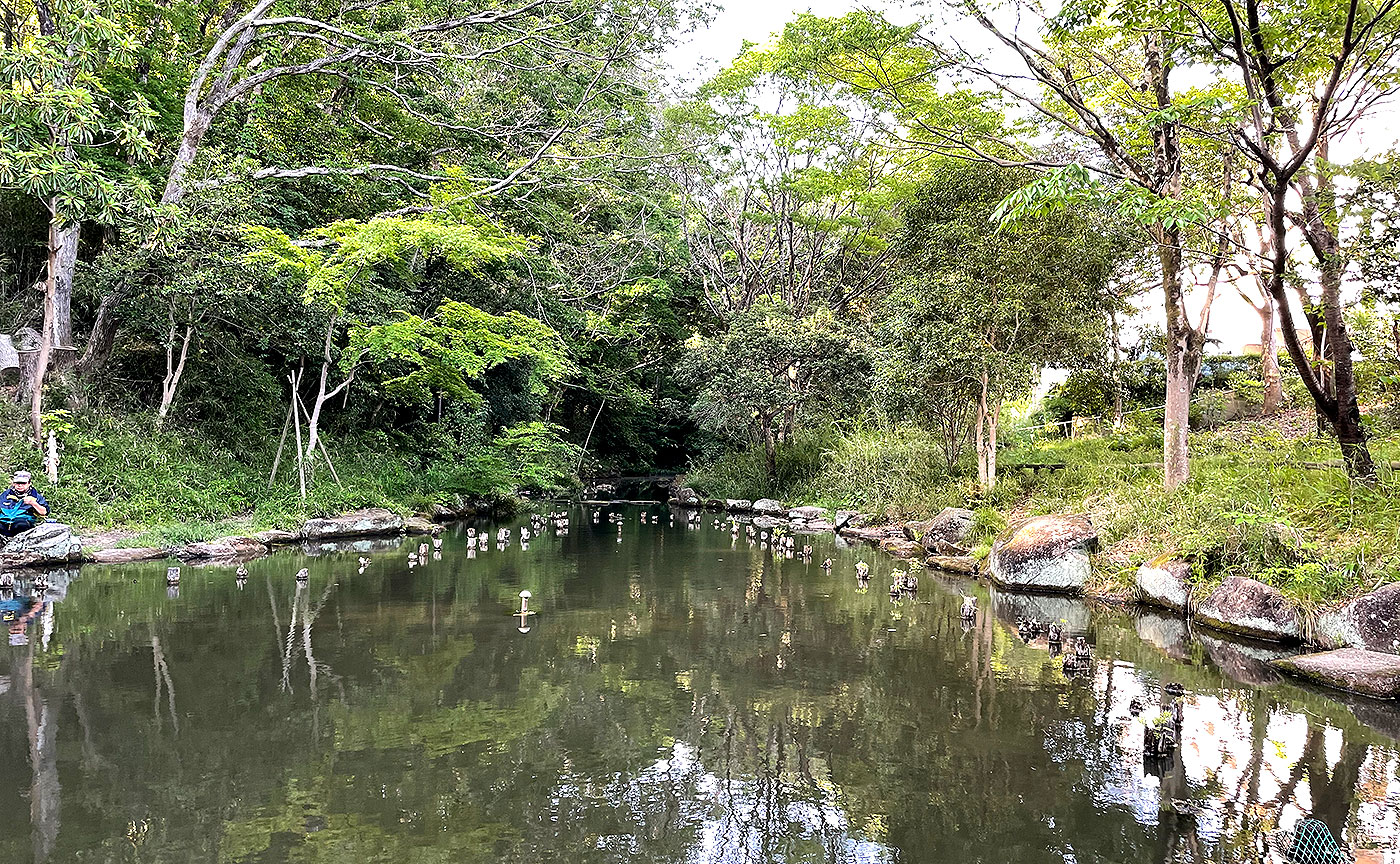 むじなが池公園