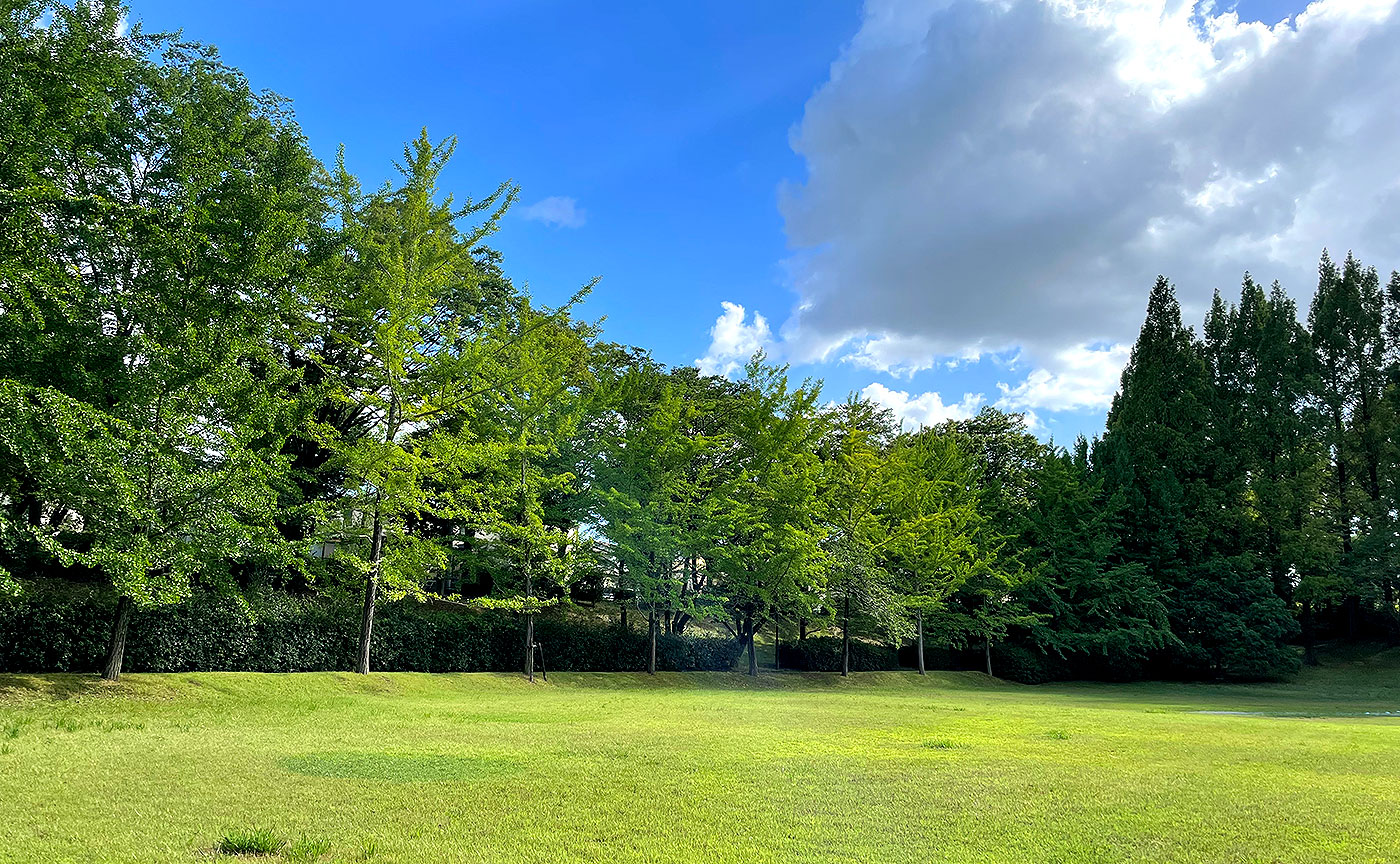 北野台わかば公園