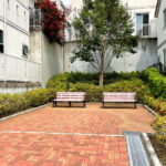 公園探訪