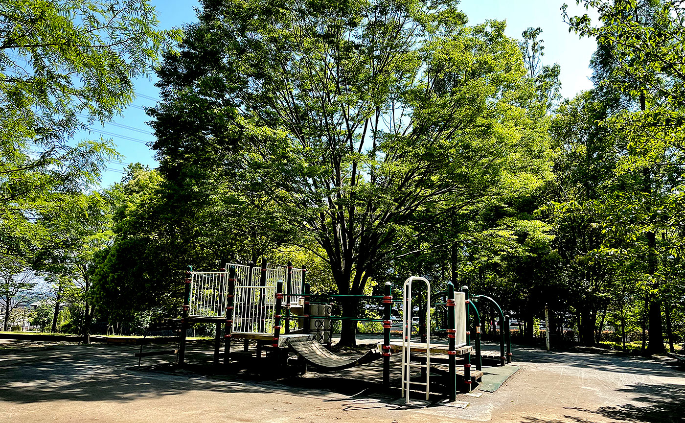 真光寺公園