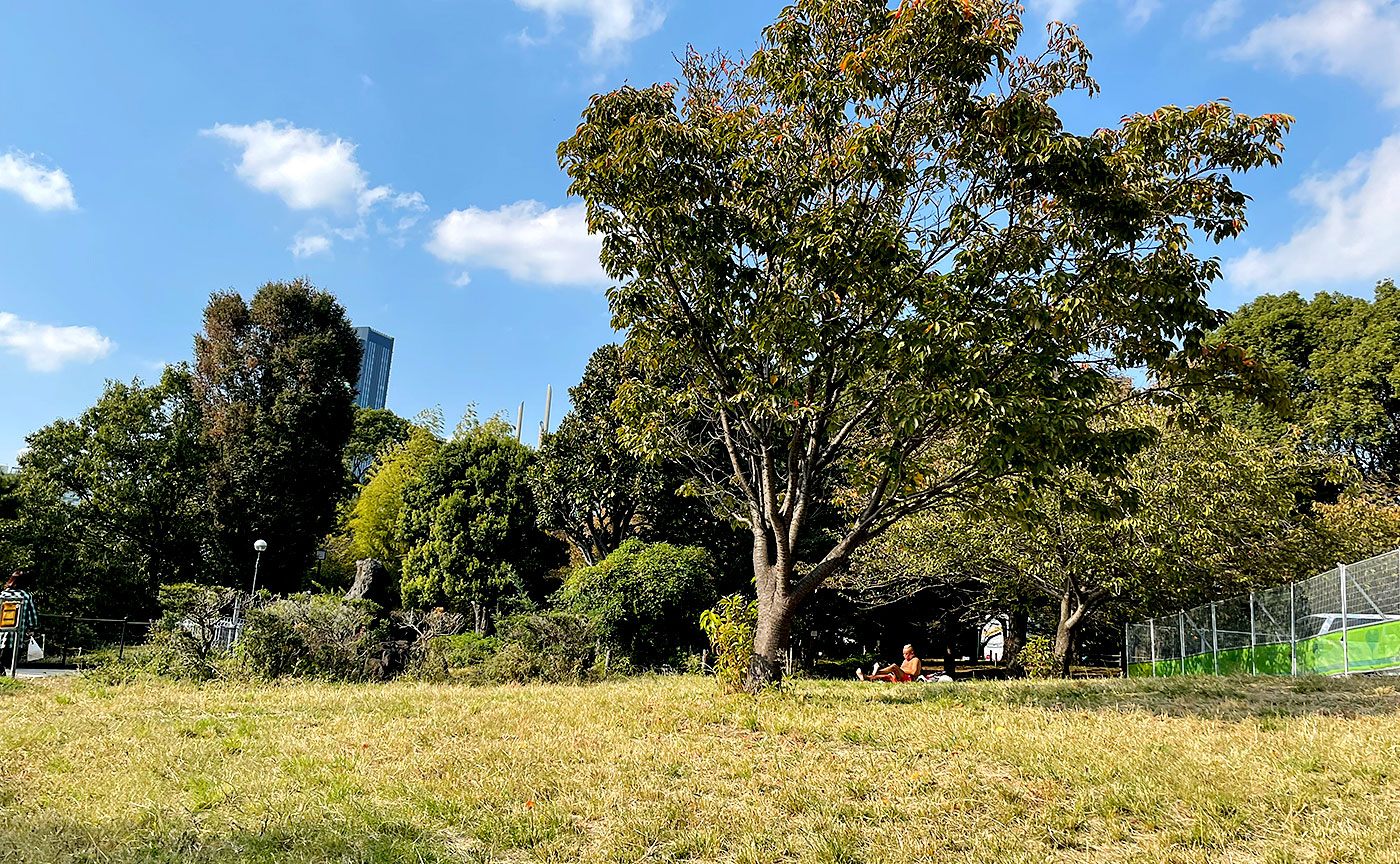 西郷山公園