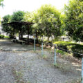公園探訪