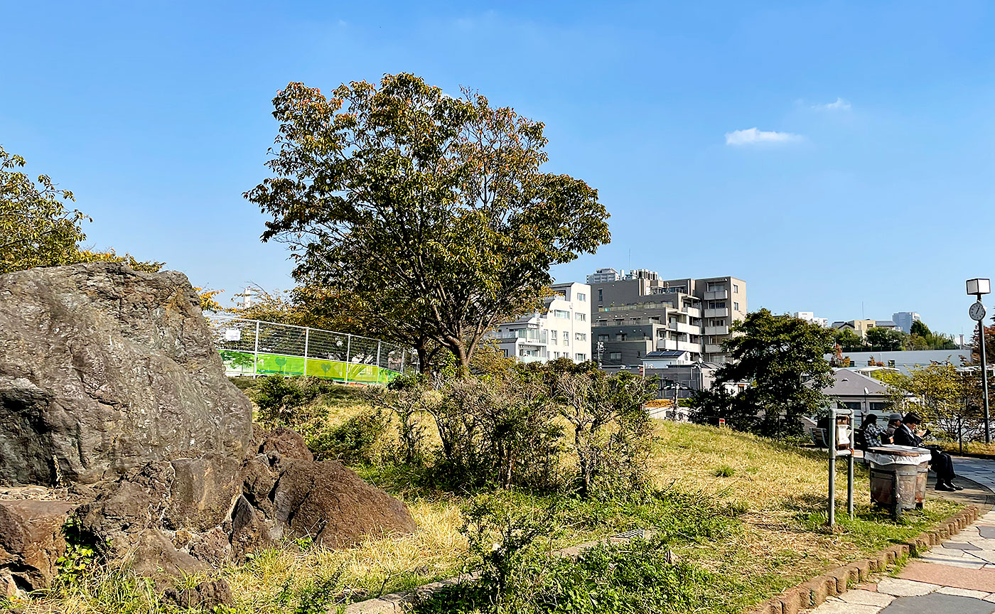 西郷山公園