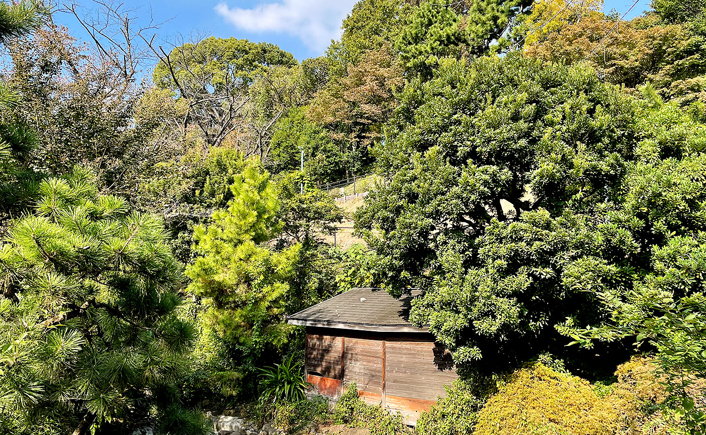 西郷山公園