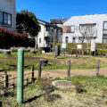 公園探訪