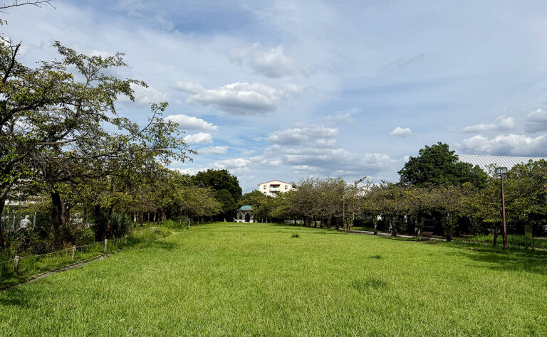 公園探訪