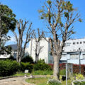 公園探訪