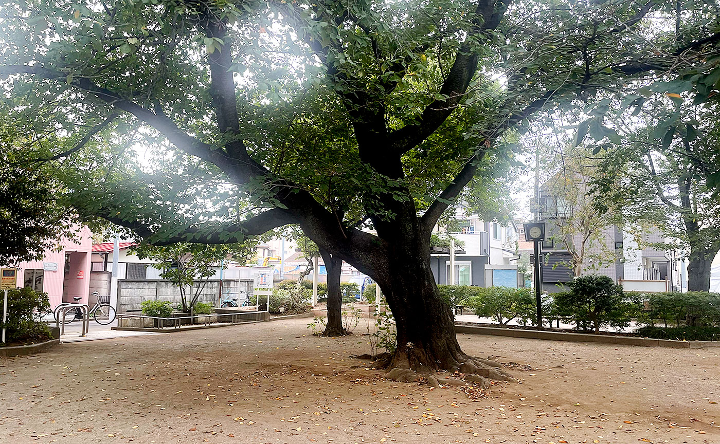 井草さくら公園