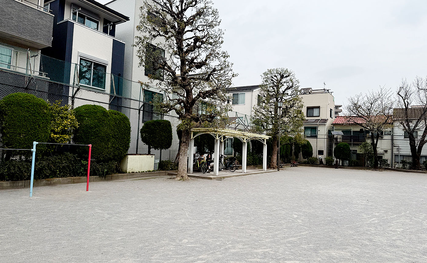 真土公園