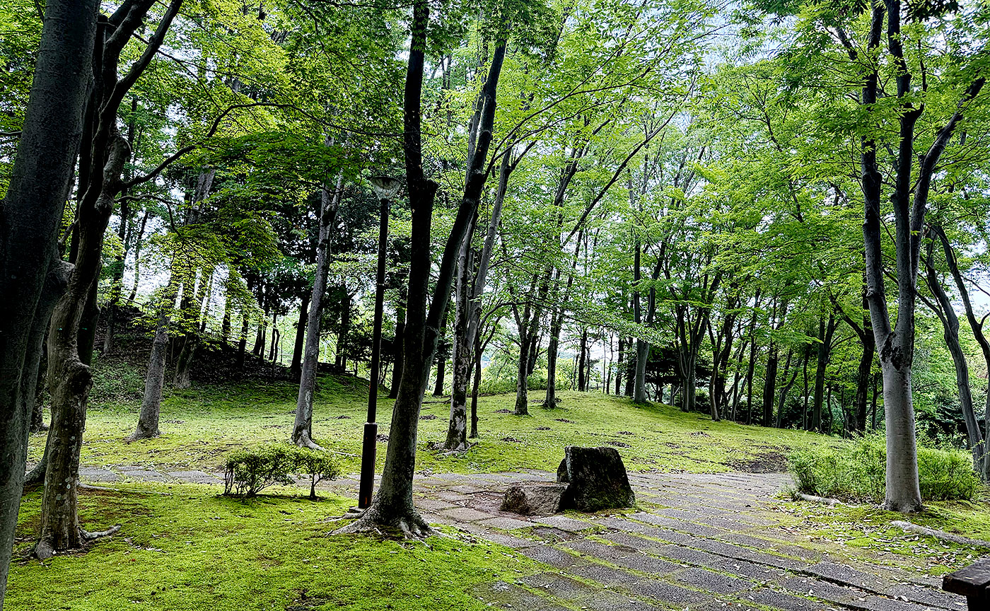 豊ヶ丘第二公園