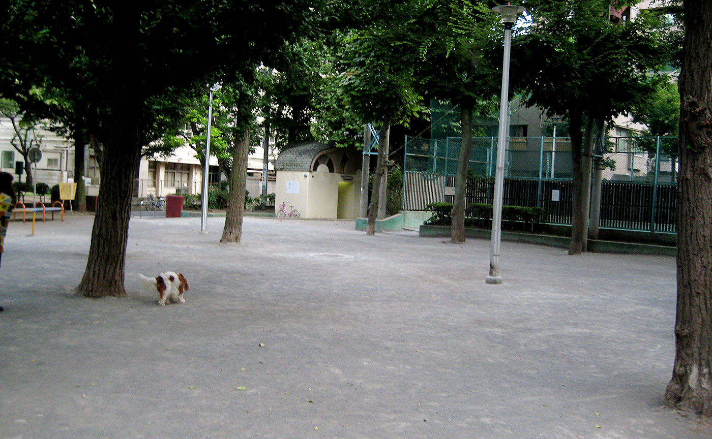 金杉公園