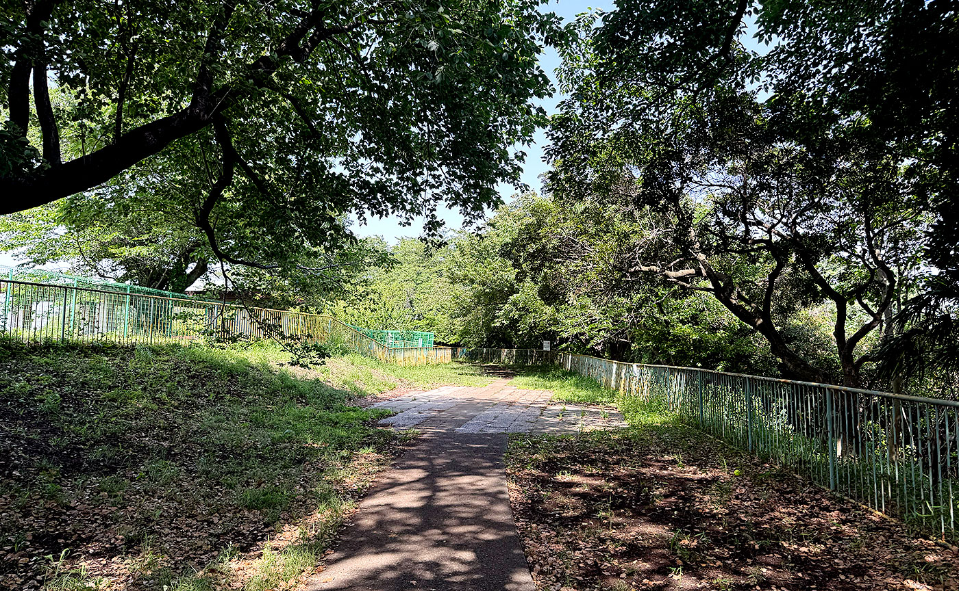 菅さくら公園