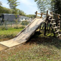 公園探訪
