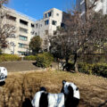 公園探訪