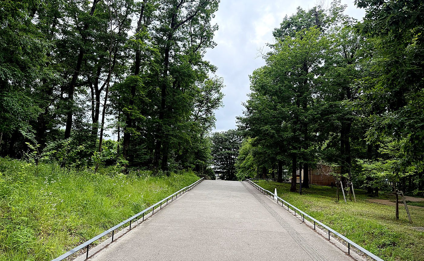 東所沢公園