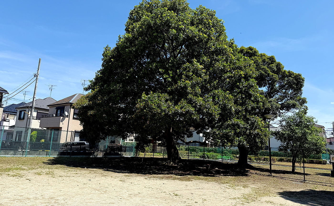 興宮公園