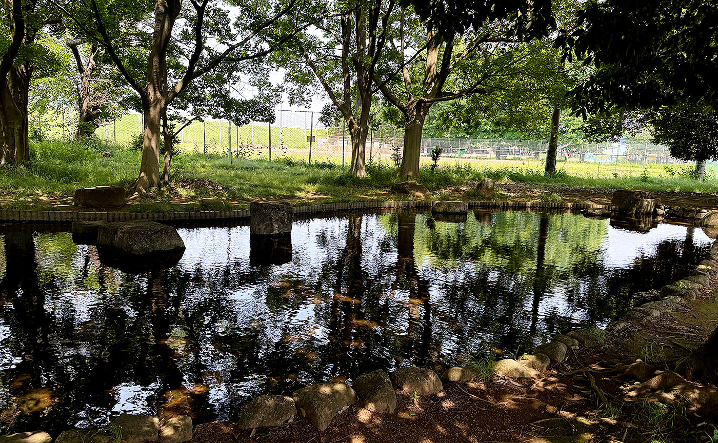稲田公園