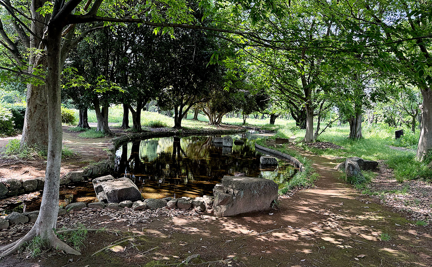 稲田公園