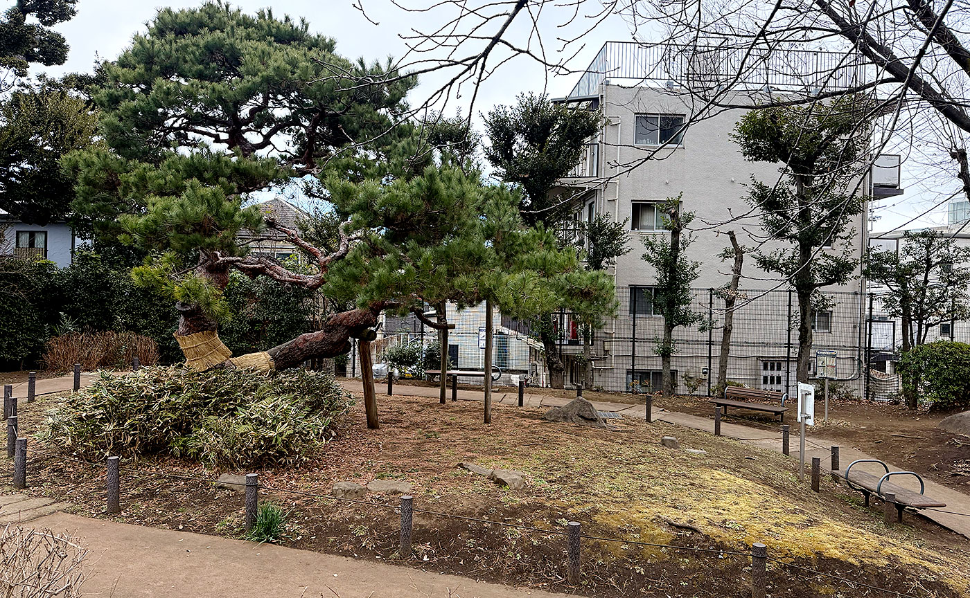 東中公園