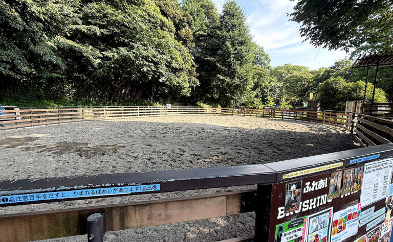 公園探訪