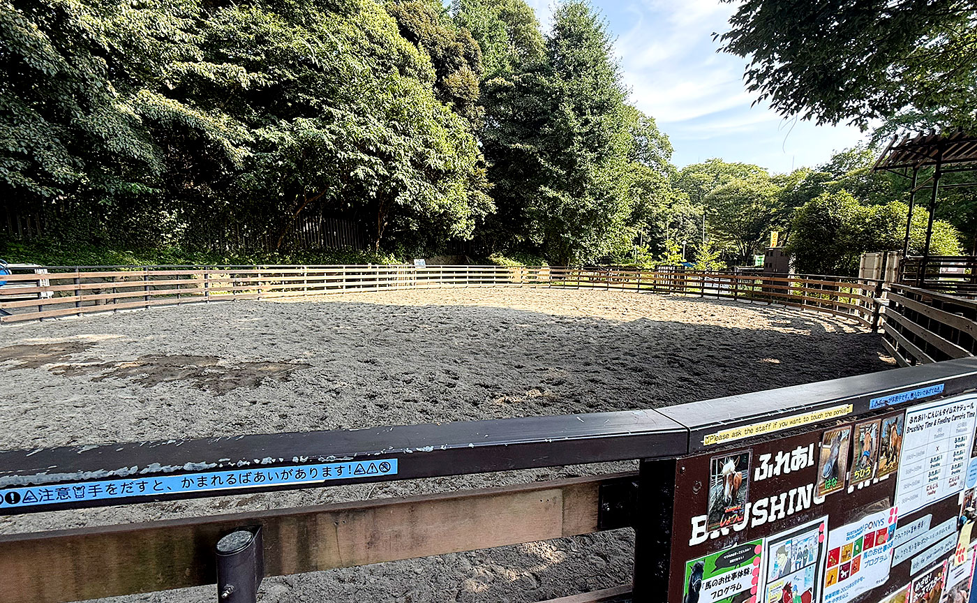 代々木ポニー公園