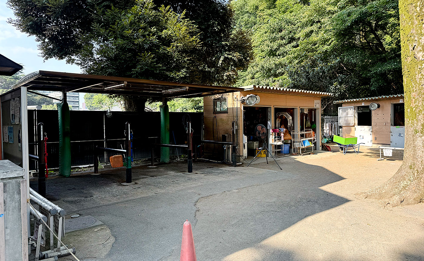 代々木ポニー公園