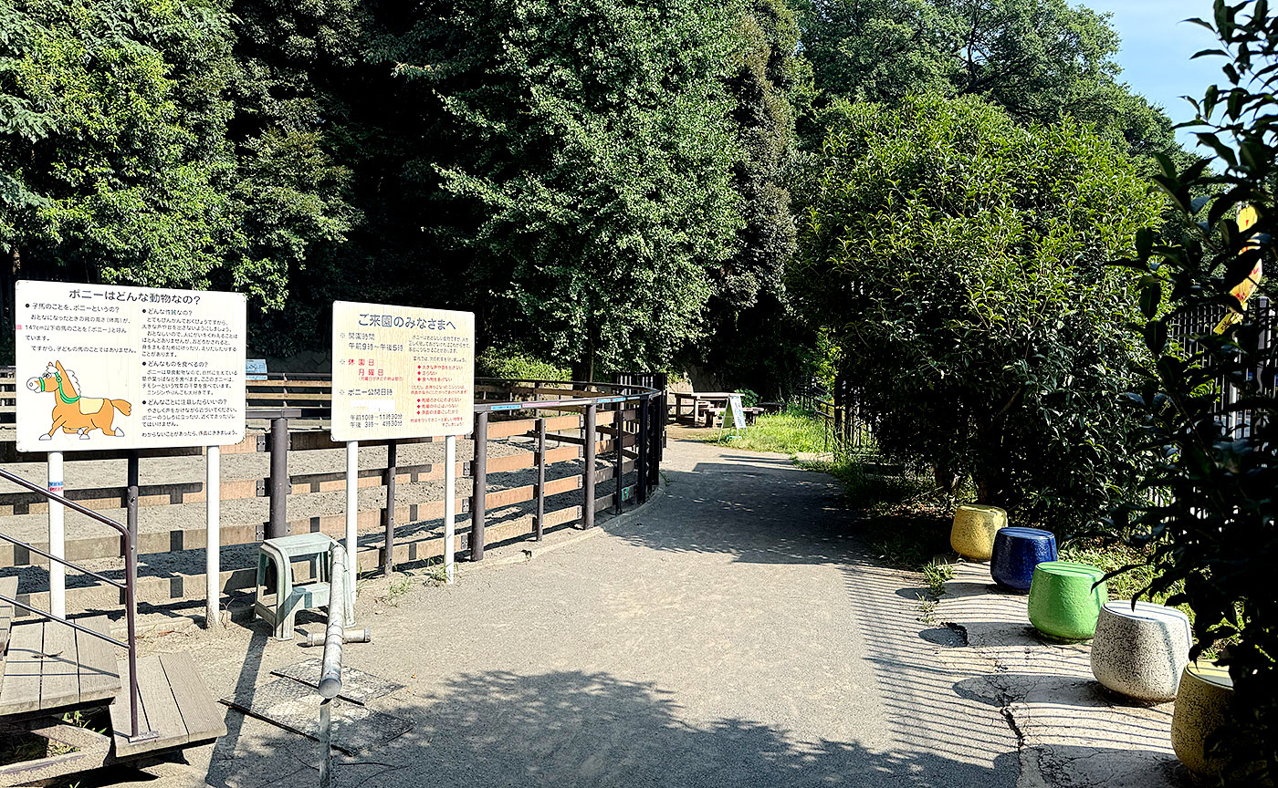 代々木ポニー公園