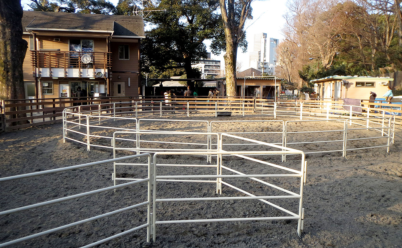 代々木ポニー公園