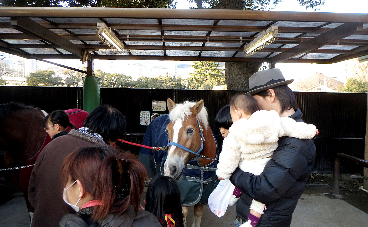 代々木ポニー公園