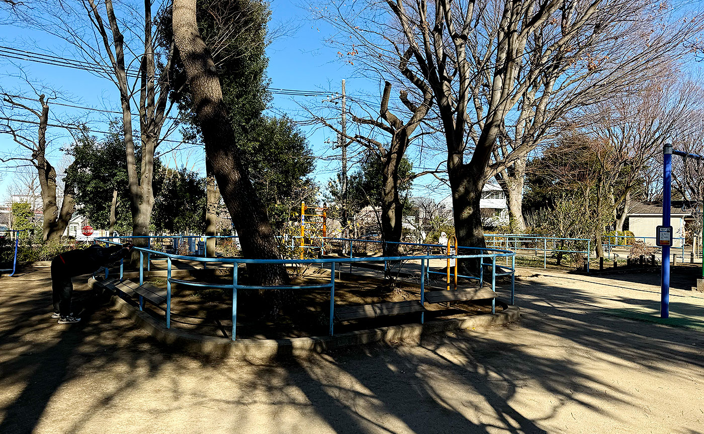羽根木公園
