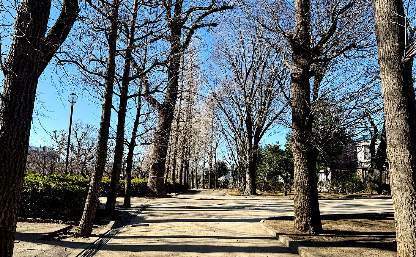 羽根木公園