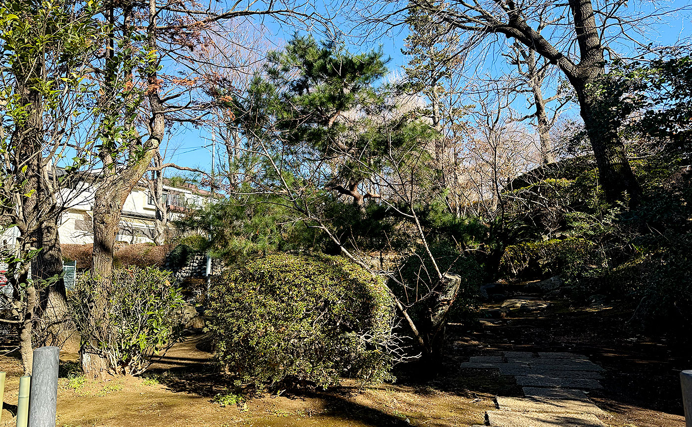 羽根木公園