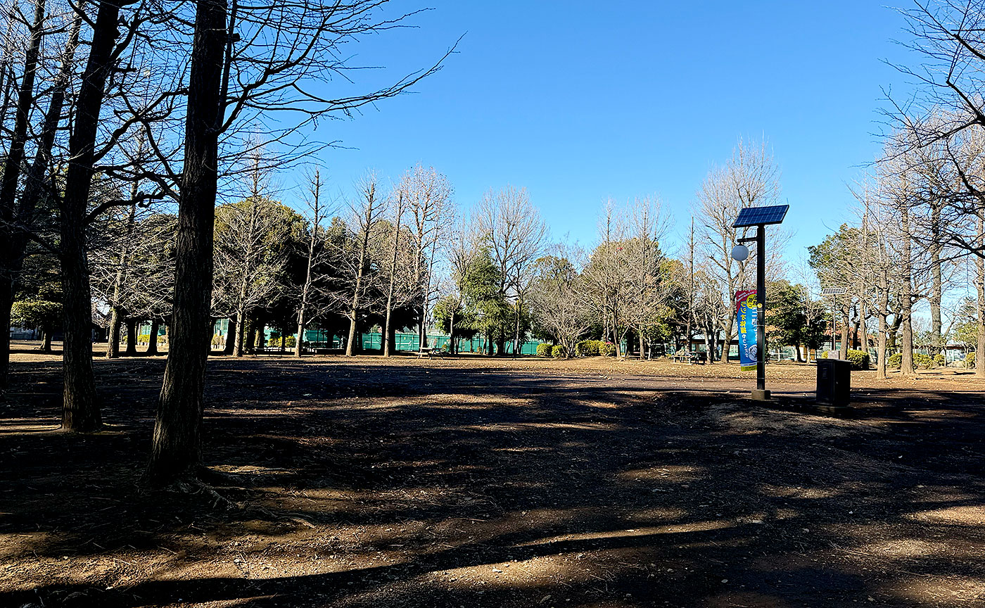 羽根木公園