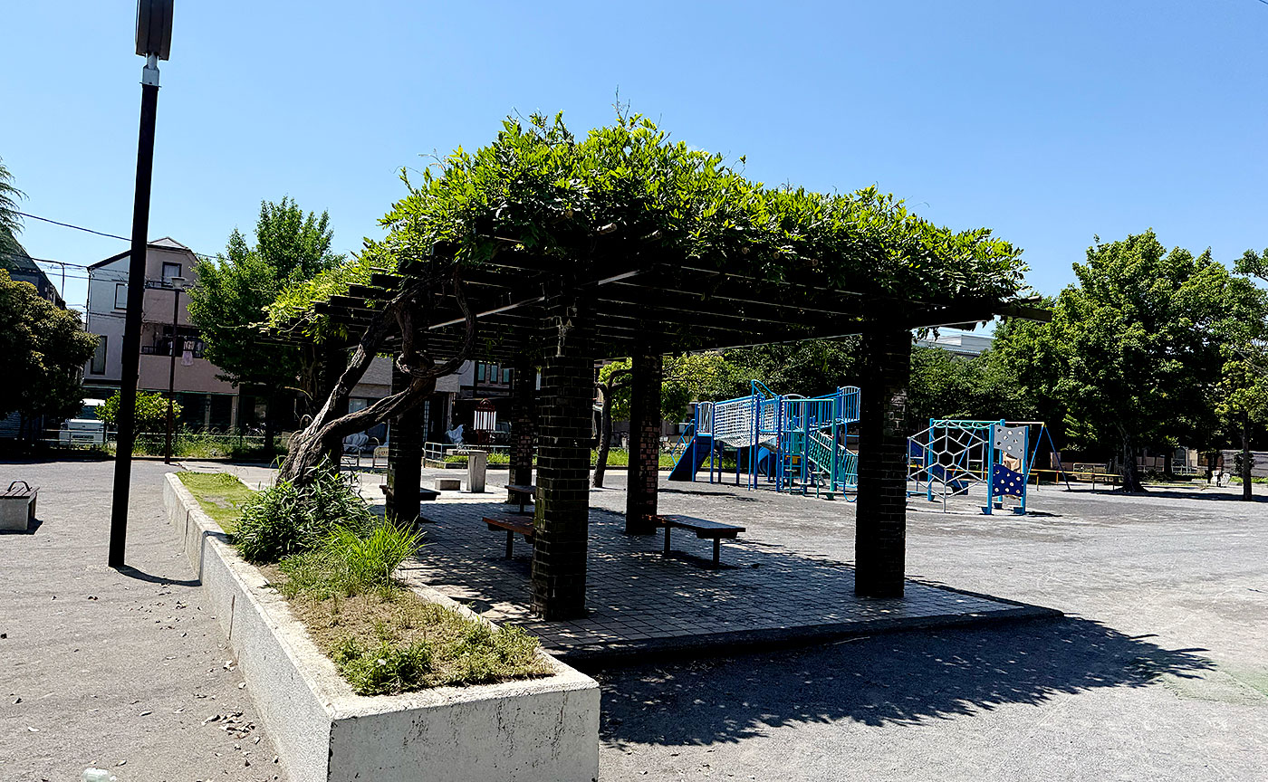 上入公園