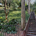 公園探訪