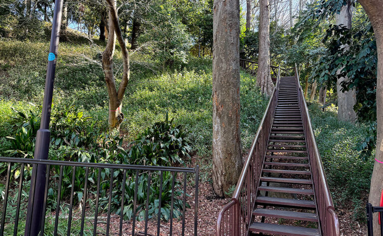 公園探訪