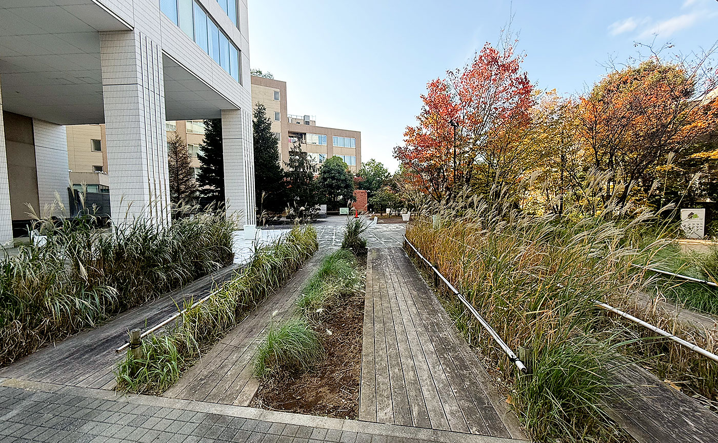 原宿一丁目公園