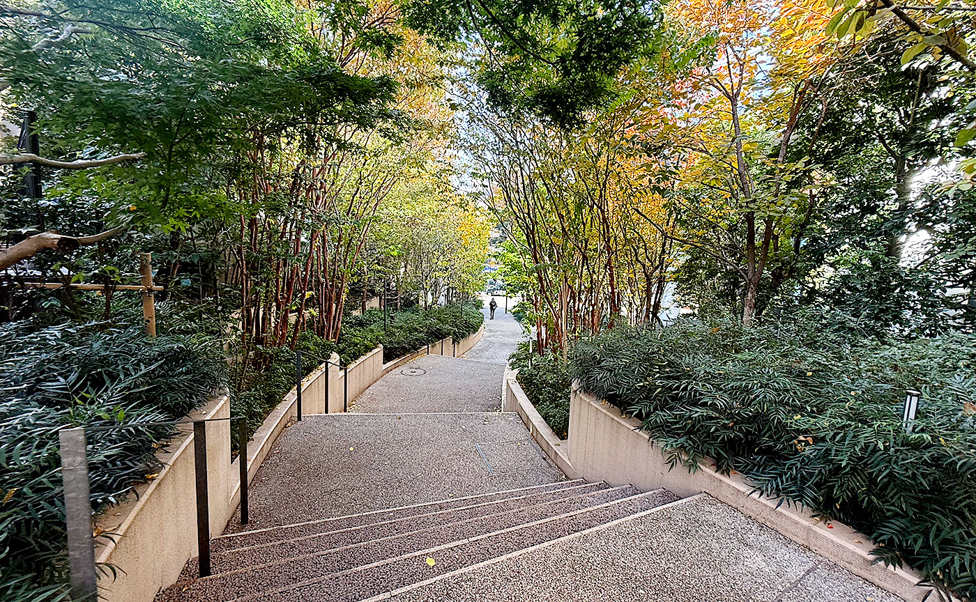北参道ふれあい公園
