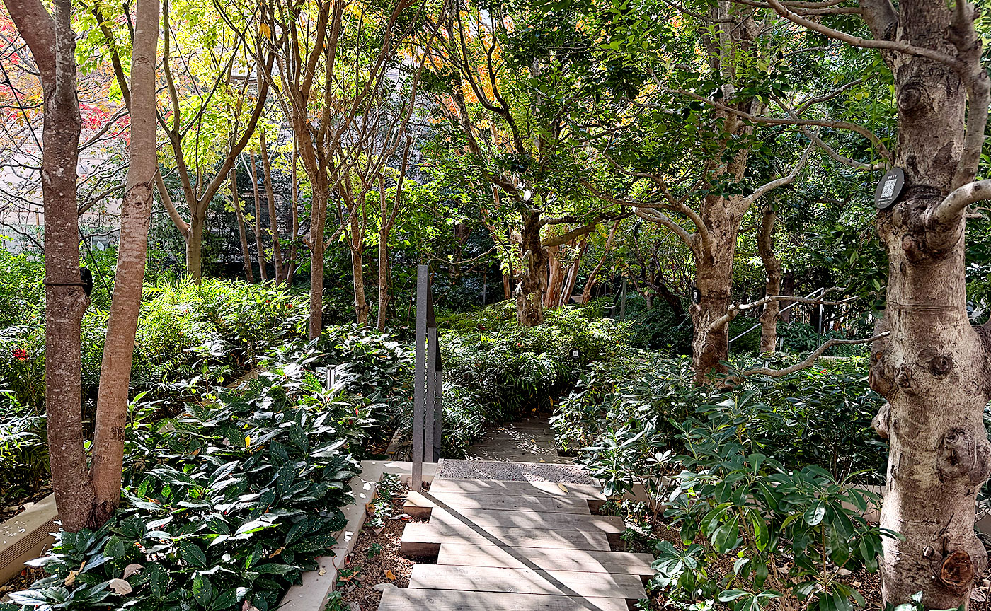 北参道ふれあい公園