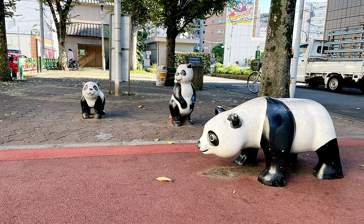 パンダなら公園にいる。
