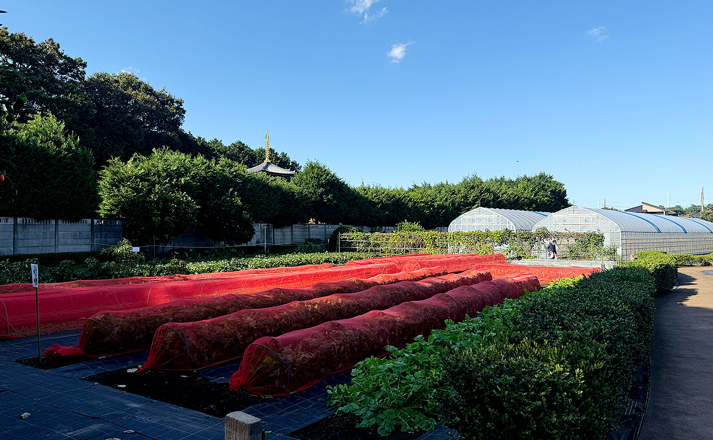 喜多見農業公園