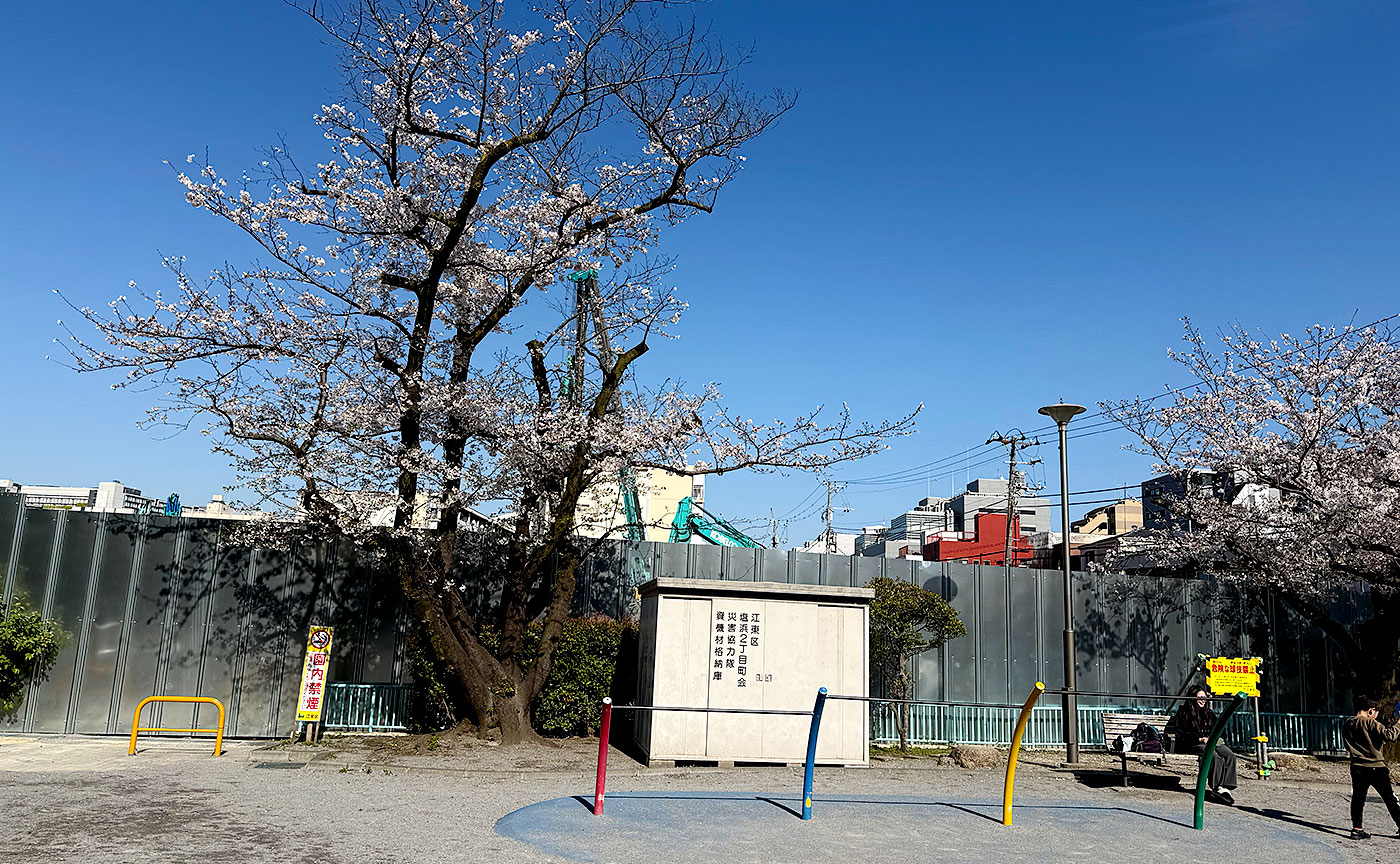 塩浜公園
