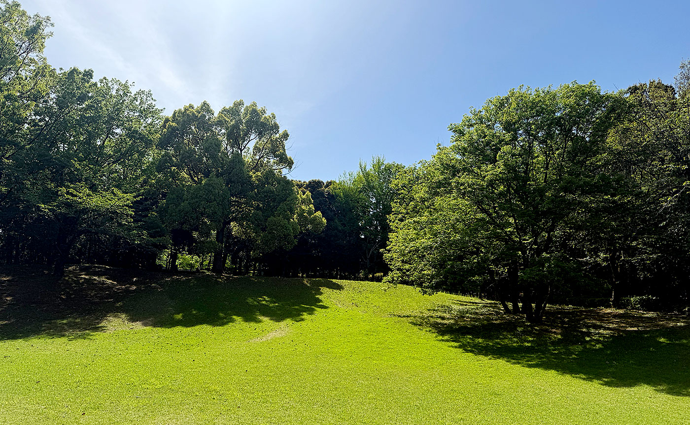 とちのき公園
