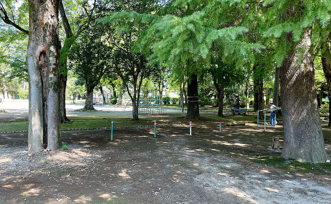 昭和公園