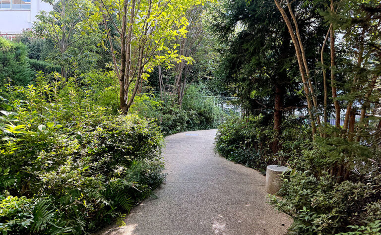 公園探訪