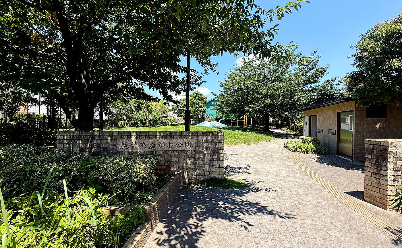 鹿骨あさがお公園