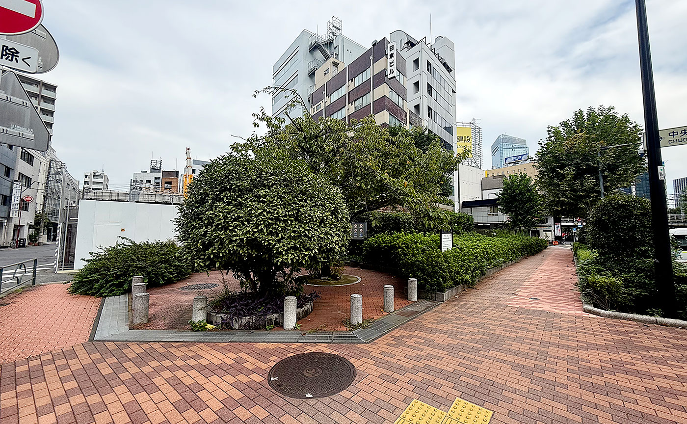 公園探訪