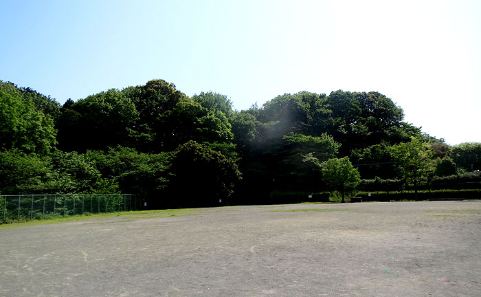 緑園東公園